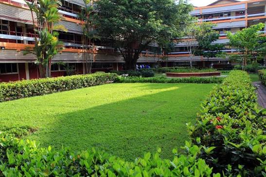 This is our School Ground